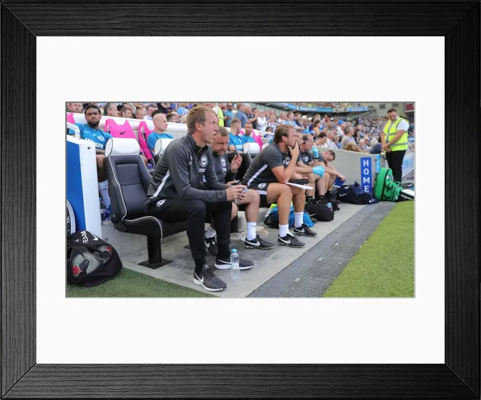 Framed Print : Brighton and Hove Albion vs Southampton: Premier League Showdown at American Express Community Stadium (24Aug19) Framed Print : Brighton and Hove Albion vs Southampton: Premier League Showdown at American Express Community Stadium (24Aug19)