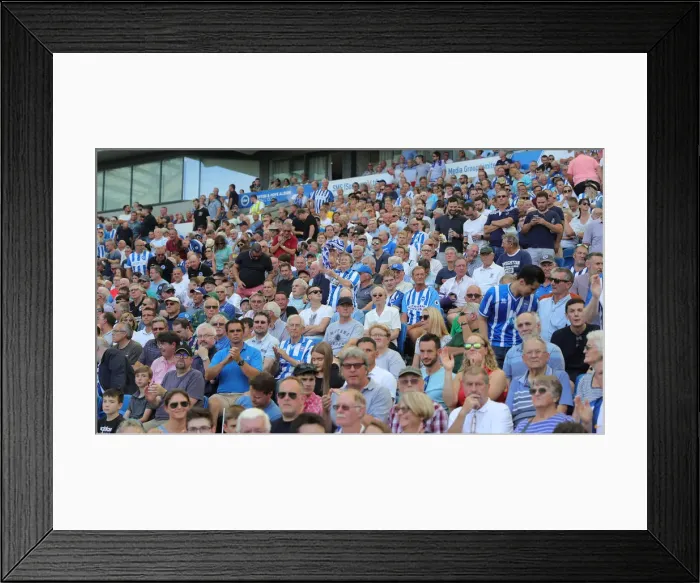 Framed Print : Brighton and Hove Albion vs. Southampton: Premier League Showdown at American Express Community Stadium (24Aug19) Framed Print : Brighton and Hove Albion vs. Southampton: Premier League Showdown at American Express Community Stadium (24Aug19)