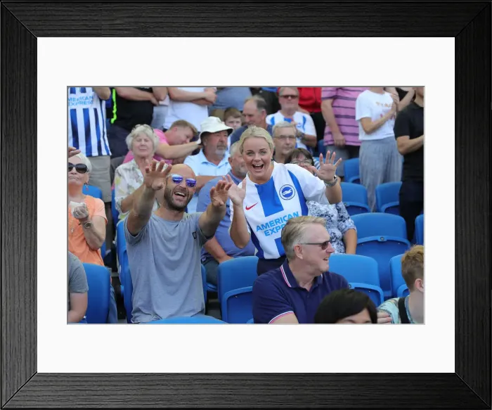 Framed Print : Brighton and Hove Albion vs. Southampton: Premier League Showdown at American Express Community Stadium (24AUG19)