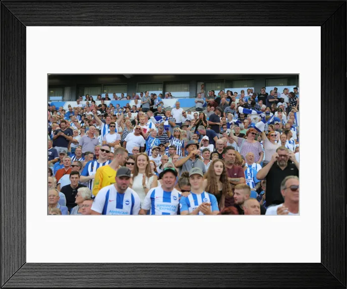 Framed Print : Brighton and Hove Albion vs. Southampton: Premier League Showdown at American Express Community Stadium (24Aug19) Framed Print : Brighton and Hove Albion vs. Southampton: Premier League Showdown at American Express Community Stadium (24Aug19)