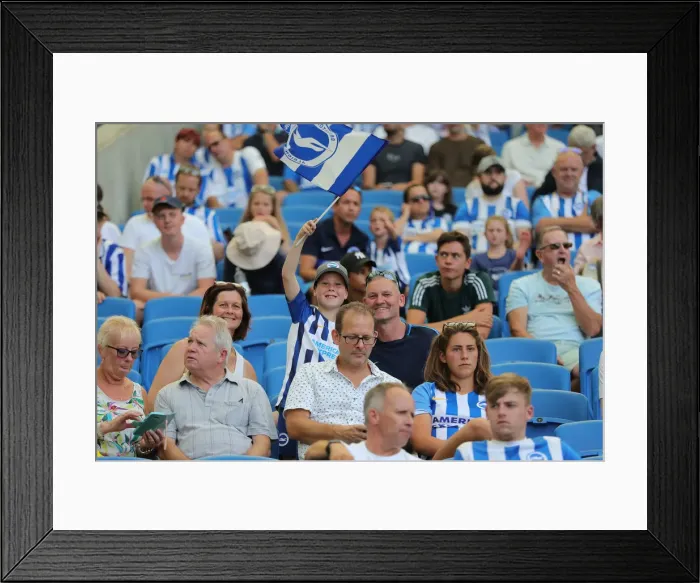 Framed Print : Brighton and Hove Albion vs Southampton: Premier League Showdown at American Express Community Stadium (24AUG19) Framed Print : Brighton and Hove Albion vs Southampton: Premier League Showdown at American Express Community Stadium (24AUG19)