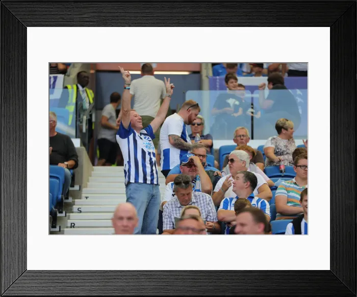 Framed Print : Brighton and Hove Albion vs Southampton: Premier League Showdown at American Express Community Stadium (24Aug19) Framed Print : Brighton and Hove Albion vs Southampton: Premier League Showdown at American Express Community Stadium (24Aug19)
