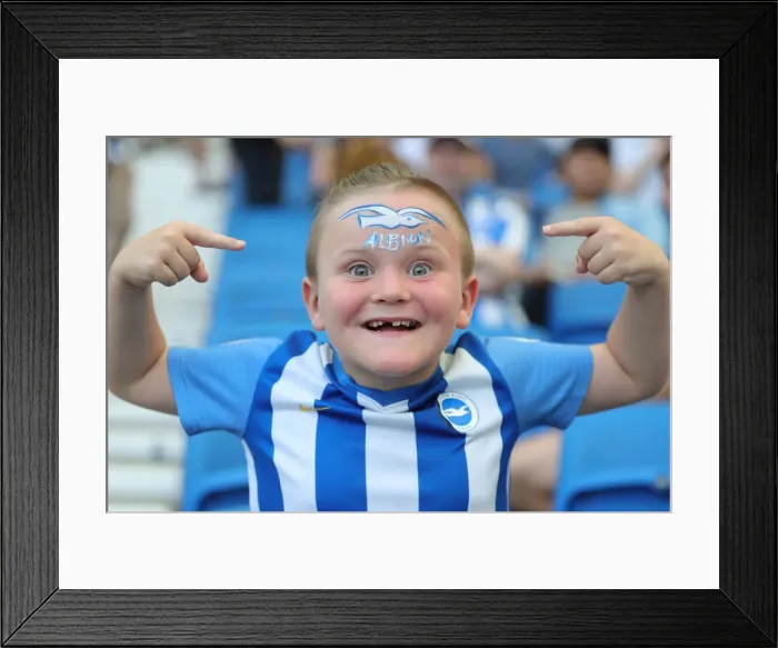 Framed Print : Brighton and Hove Albion vs Southampton: Premier League Showdown at American Express Community Stadium (24Aug19) Framed Print : Brighton and Hove Albion vs Southampton: Premier League Showdown at American Express Community Stadium (24Aug19)
