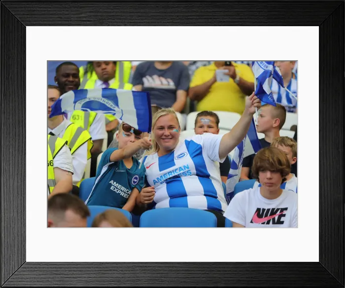 Framed Print : Brighton and Hove Albion vs. Southampton: Premier League Showdown at American Express Community Stadium (24AUG19) Framed Print : Brighton and Hove Albion vs. Southampton: Premier League Showdown at American Express Community Stadium (24AUG19)