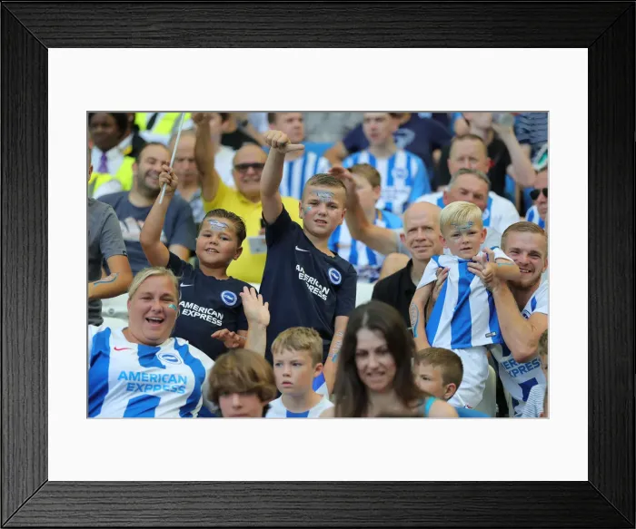 Framed Print : Brighton and Hove Albion vs Southampton: Premier League Showdown at American Express Community Stadium (24Aug19) Framed Print : Brighton and Hove Albion vs Southampton: Premier League Showdown at American Express Community Stadium (24Aug19)