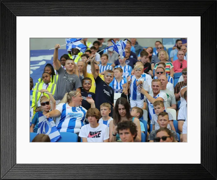 Framed Print : Brighton and Hove Albion vs Southampton: Premier League Showdown at American Express Community Stadium (24Aug19) Framed Print : Brighton and Hove Albion vs Southampton: Premier League Showdown at American Express Community Stadium (24Aug19)