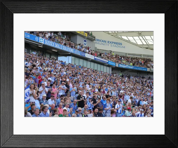 Framed Print : Brighton and Hove Albion vs Southampton: Premier League Showdown at American Express Community Stadium (August 24, 2019)