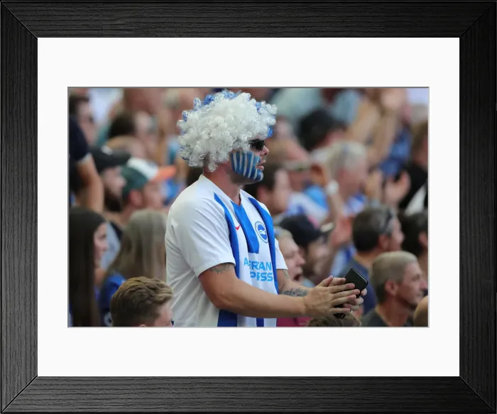 Framed Print : Brighton and Hove Albion vs. Southampton: Premier League Showdown at American Express Community Stadium (24AUG19)