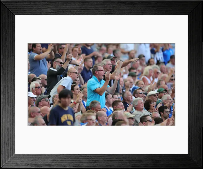 Framed Print : Brighton and Hove Albion vs Southampton: Premier League Showdown at American Express Community Stadium (24Aug19) Framed Print : Brighton and Hove Albion vs Southampton: Premier League Showdown at American Express Community Stadium (24Aug19)