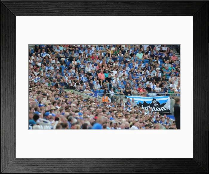 Framed Print : Brighton and Hove Albion vs Southampton: Premier League Showdown at American Express Community Stadium (24Aug19) Framed Print : Brighton and Hove Albion vs Southampton: Premier League Showdown at American Express Community Stadium (24Aug19)