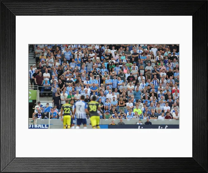 Framed Print : Brighton and Hove Albion vs. Southampton: Premier League Showdown at American Express Community Stadium (24Aug19) Framed Print : Brighton and Hove Albion vs. Southampton: Premier League Showdown at American Express Community Stadium (24Aug19)