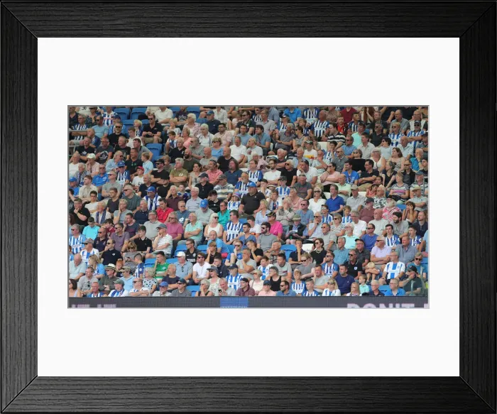 Framed Print : Brighton and Hove Albion vs. Southampton: Premier League Showdown at American Express Community Stadium (24Aug19) Framed Print : Brighton and Hove Albion vs. Southampton: Premier League Showdown at American Express Community Stadium (24Aug19)