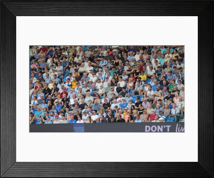 Framed Print : Brighton and Hove Albion vs. Southampton: Premier League Showdown at American Express Community Stadium (24Aug19)