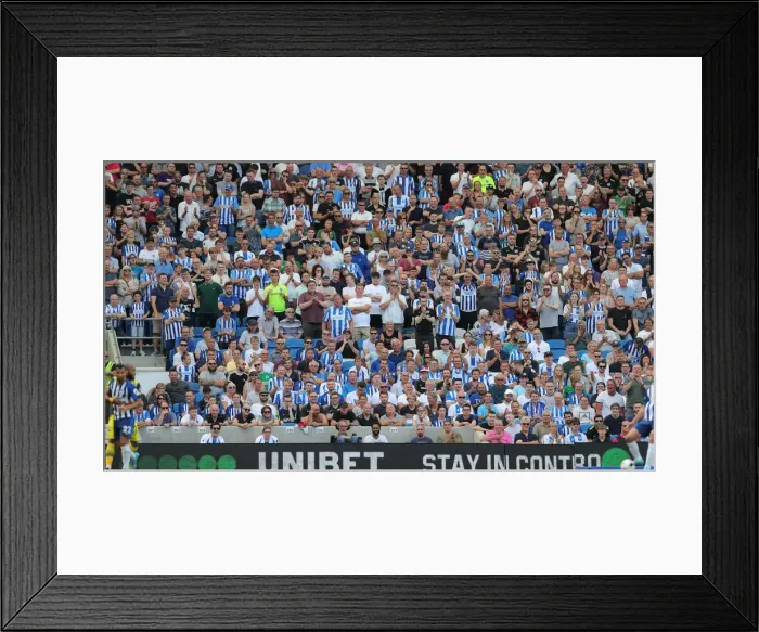 Framed Print : Brighton and Hove Albion vs. Southampton: Premier League Showdown at American Express Community Stadium (24AUG19) Framed Print : Brighton and Hove Albion vs. Southampton: Premier League Showdown at American Express Community Stadium (24AUG19)