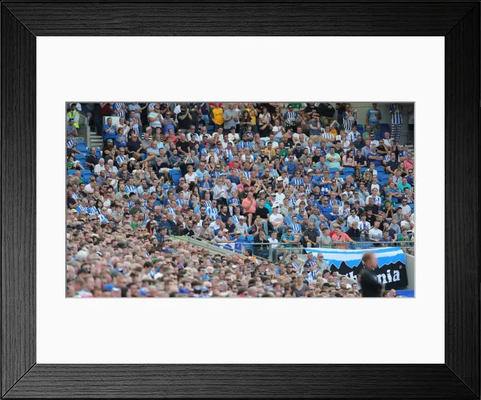 Framed Print : Brighton and Hove Albion vs. Southampton: Premier League Showdown at American Express Community Stadium (24Aug19) Framed Print : Brighton and Hove Albion vs. Southampton: Premier League Showdown at American Express Community Stadium (24Aug19)