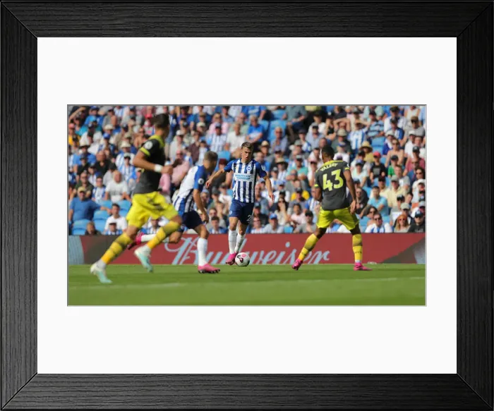 Framed Print : Brighton and Hove Albion vs Southampton: Premier League Showdown at American Express Community Stadium (24Aug19) Framed Print : Brighton and Hove Albion vs Southampton: Premier League Showdown at American Express Community Stadium (24Aug19)