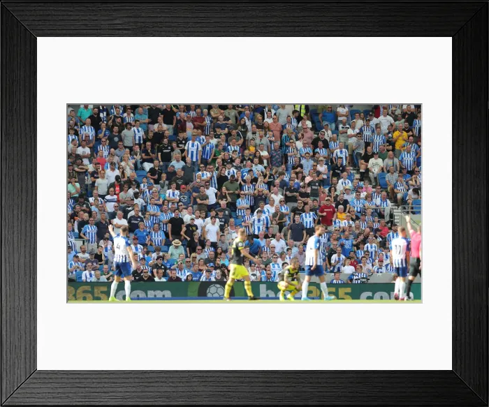 Framed Print : Brighton and Hove Albion vs. Southampton: Premier League Showdown at American Express Community Stadium (24Aug19) Framed Print : Brighton and Hove Albion vs. Southampton: Premier League Showdown at American Express Community Stadium (24Aug19)
