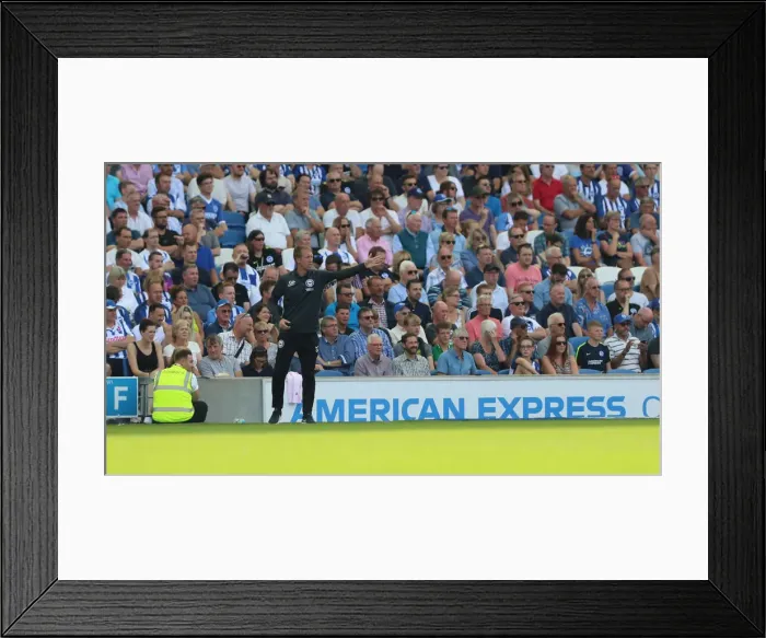Framed Print : Brighton and Hove Albion vs. Southampton: Premier League Showdown at American Express Community Stadium (24AUG19) Framed Print : Brighton and Hove Albion vs. Southampton: Premier League Showdown at American Express Community Stadium (24AUG19)