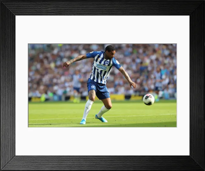 Framed Print : Brighton and Hove Albion vs. Southampton: Premier League Showdown at American Express Community Stadium (24Aug19)