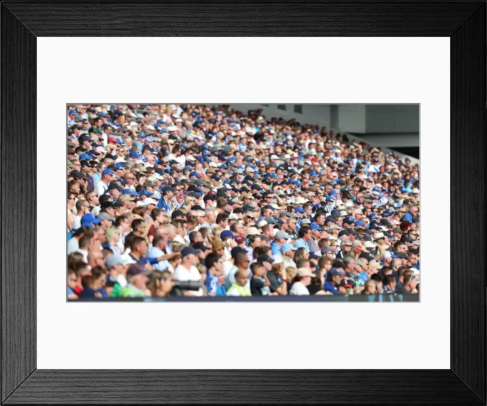 Framed Print : Brighton and Hove Albion vs. Southampton: Premier League Showdown at American Express Community Stadium (August 24, 2019) Framed Print : Brighton and Hove Albion vs. Southampton: Premier League Showdown at American Express Community Stadium (August 24, 2019)