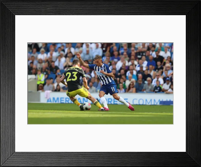 Framed Print : Brighton and Hove Albion vs. Southampton: Premier League Showdown at American Express Community Stadium (24Aug19) Framed Print : Brighton and Hove Albion vs. Southampton: Premier League Showdown at American Express Community Stadium (24Aug19)