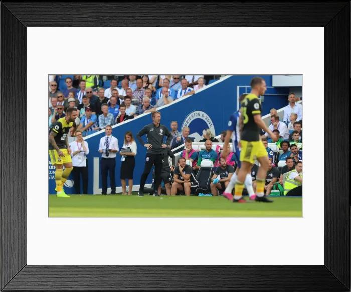 Framed Print : Brighton and Hove Albion vs. Southampton: Premier League Showdown at American Express Community Stadium (24Aug19) Framed Print : Brighton and Hove Albion vs. Southampton: Premier League Showdown at American Express Community Stadium (24Aug19)