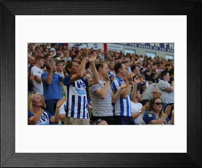 Framed Print : Brighton and Hove Albion vs Southampton: Premier League Showdown at American Express Community Stadium (24Aug19)