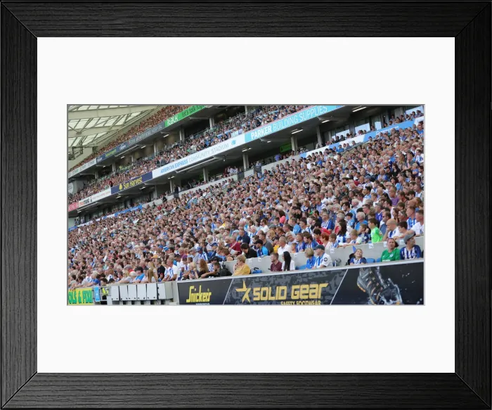Framed Print : Brighton and Hove Albion vs Southampton: Premier League Showdown at American Express Community Stadium (24Aug19) Framed Print : Brighton and Hove Albion vs Southampton: Premier League Showdown at American Express Community Stadium (24Aug19)