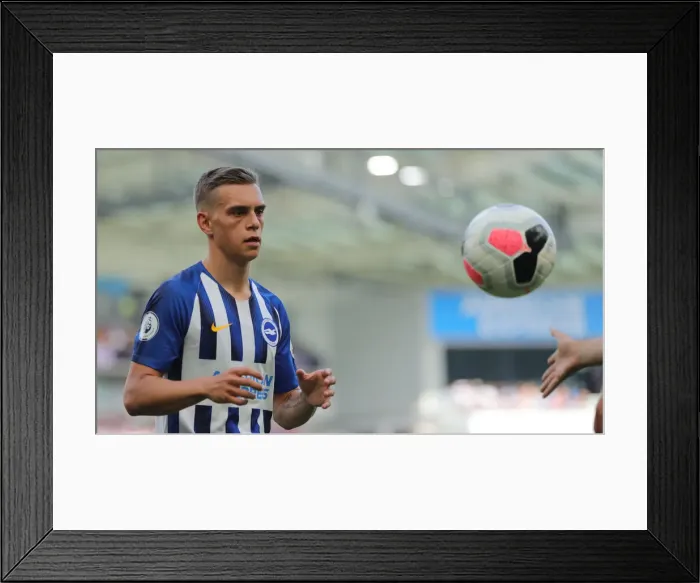 Framed Print : Brighton and Hove Albion vs. Southampton: Premier League Showdown at American Express Community Stadium (24AUG19) Framed Print : Brighton and Hove Albion vs. Southampton: Premier League Showdown at American Express Community Stadium (24AUG19)