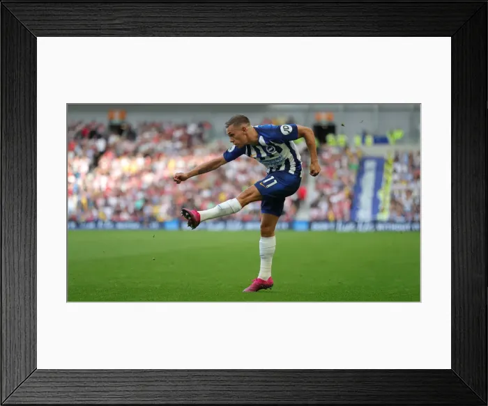 Framed Print : Brighton and Hove Albion vs Southampton: Premier League Showdown at American Express Community Stadium (24Aug19) Framed Print : Brighton and Hove Albion vs Southampton: Premier League Showdown at American Express Community Stadium (24Aug19)