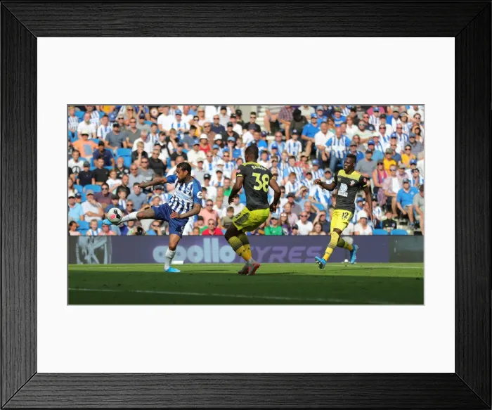 Framed Print : Brighton and Hove Albion vs. Southampton: Premier League Showdown at American Express Community Stadium (24Aug19)