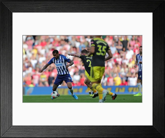 Framed Print : Brighton and Hove Albion vs. Southampton: Premier League Showdown at American Express Community Stadium (24Aug19) Framed Print : Brighton and Hove Albion vs. Southampton: Premier League Showdown at American Express Community Stadium (24Aug19)