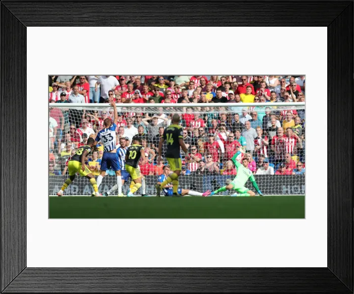 Framed Print : Brighton and Hove Albion vs. Southampton: Premier League Showdown at American Express Community Stadium (24AUG19) Framed Print : Brighton and Hove Albion vs. Southampton: Premier League Showdown at American Express Community Stadium (24AUG19)