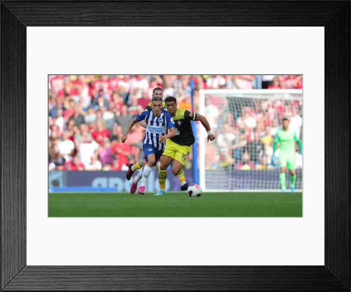 Framed Print : Brighton and Hove Albion vs. Southampton: Premier League Showdown at American Express Community Stadium (24Aug19) Framed Print : Brighton and Hove Albion vs. Southampton: Premier League Showdown at American Express Community Stadium (24Aug19)