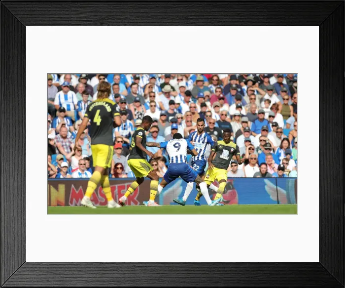 Framed Print : Brighton and Hove Albion vs. Southampton: Premier League Showdown at American Express Community Stadium (24Aug19) Framed Print : Brighton and Hove Albion vs. Southampton: Premier League Showdown at American Express Community Stadium (24Aug19)