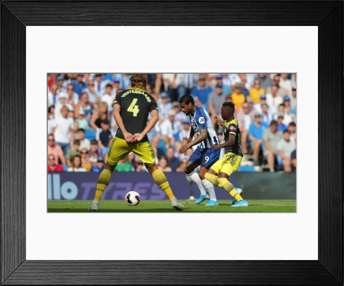 Framed Print : Brighton and Hove Albion vs. Southampton: Premier League Showdown at American Express Community Stadium (August 24, 2019) Framed Print : Brighton and Hove Albion vs. Southampton: Premier League Showdown at American Express Community Stadium (August 24, 2019)