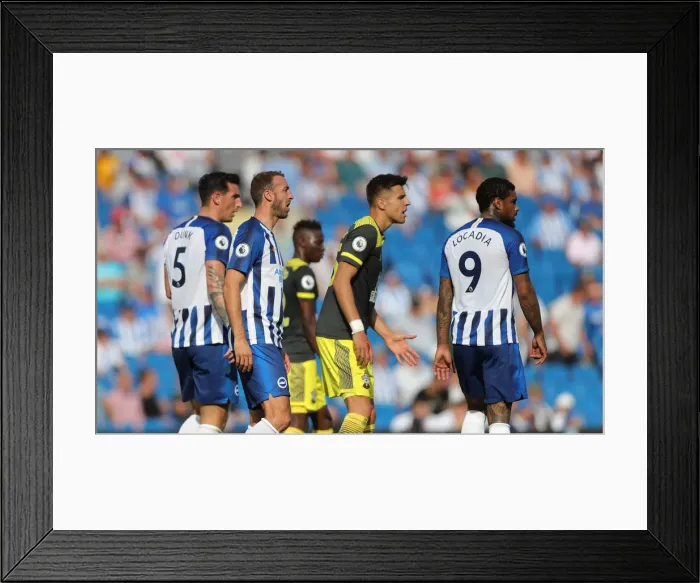 Framed Print : Brighton and Hove Albion vs. Southampton: Premier League Showdown at American Express Community Stadium (August 24, 2019) Framed Print : Brighton and Hove Albion vs. Southampton: Premier League Showdown at American Express Community Stadium (August 24, 2019)