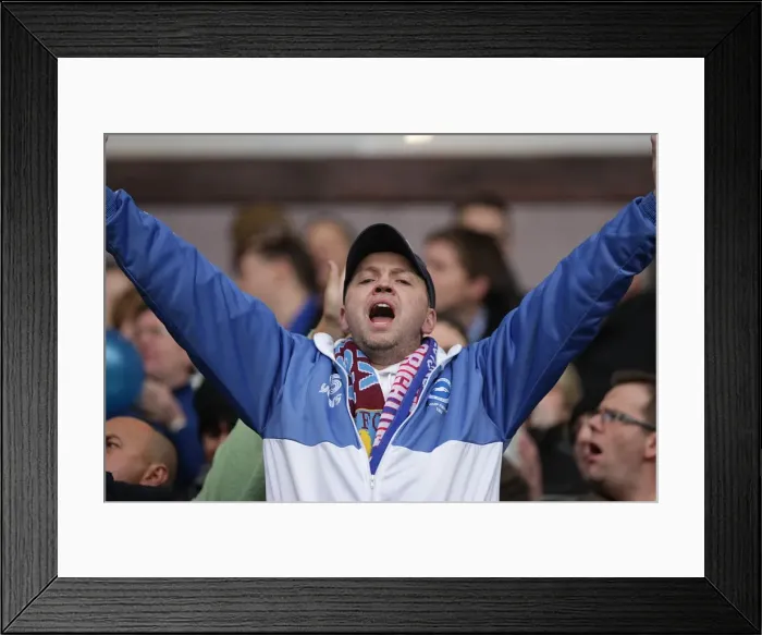 Framed Print : Withdean Era: A Sea of Seagulls - Brighton & Hove Albion Crowd Shots