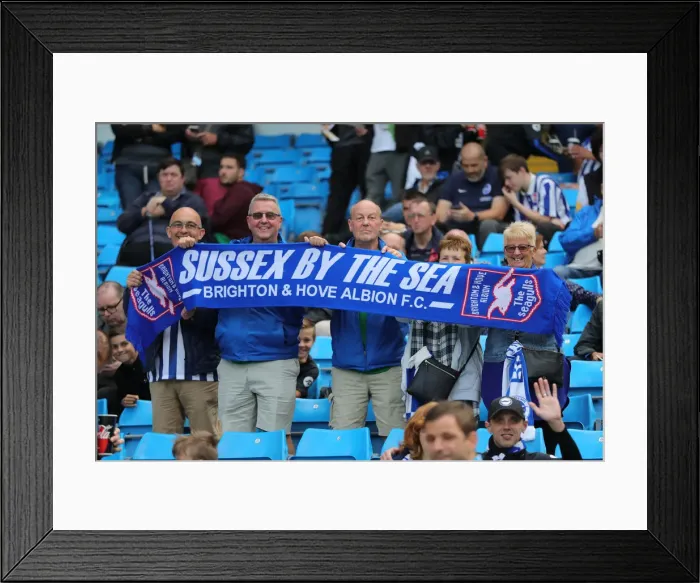 Framed Print : Manchester City vs. Brighton and Hove Albion: Premier League Showdown at Etihad Stadium (31AUG19) Framed Print : Manchester City vs. Brighton and Hove Albion: Premier League Showdown at Etihad Stadium (31AUG19)