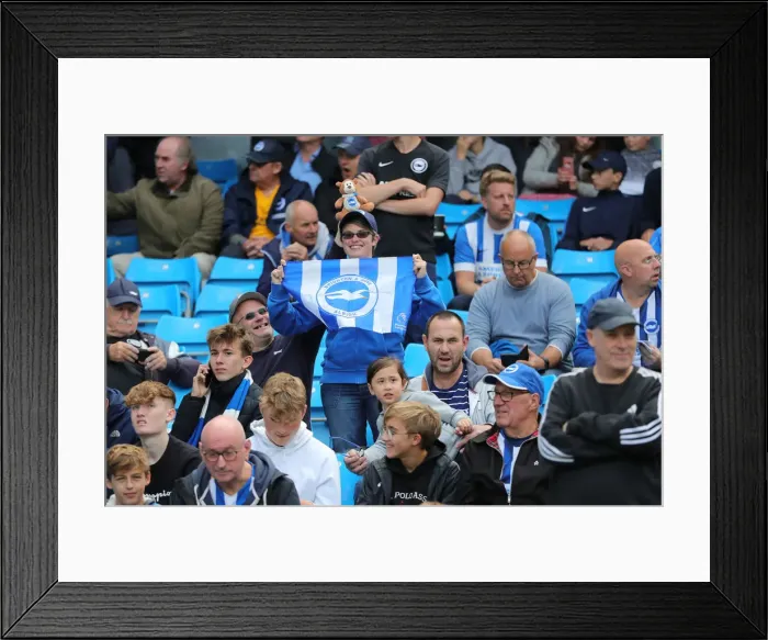 Framed Print : Manchester City vs. Brighton and Hove Albion: Premier League Showdown at Etihad Stadium (31AUG19) Framed Print : Manchester City vs. Brighton and Hove Albion: Premier League Showdown at Etihad Stadium (31AUG19)