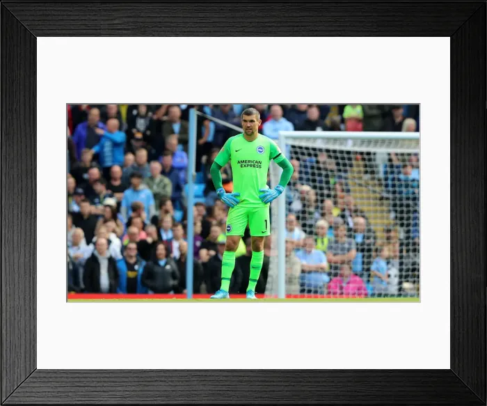 Framed Print : Manchester City vs. Brighton and Hove Albion: Premier League Showdown at Etihad Stadium (31Aug19) Framed Print : Manchester City vs. Brighton and Hove Albion: Premier League Showdown at Etihad Stadium (31Aug19)