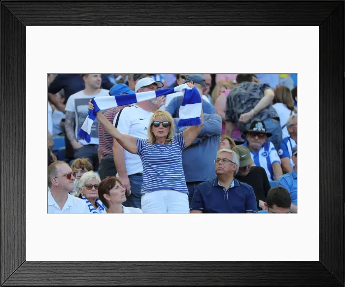 Framed Print : Brighton vs. Burnley: Premier League Clash at American Express Community Stadium (September 14, 2019) Framed Print : Brighton vs. Burnley: Premier League Clash at American Express Community Stadium (September 14, 2019)