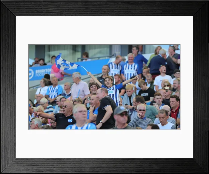 Framed Print : Brighton vs. Burnley: Premier League Clash at American Express Community Stadium (September 14, 2019) Framed Print : Brighton vs. Burnley: Premier League Clash at American Express Community Stadium (September 14, 2019)