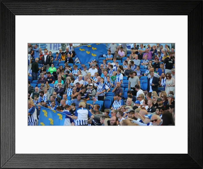 Framed Print : Brighton vs. Burnley: Premier League Clash at American Express Community Stadium (September 14, 2019) Framed Print : Brighton vs. Burnley: Premier League Clash at American Express Community Stadium (September 14, 2019)