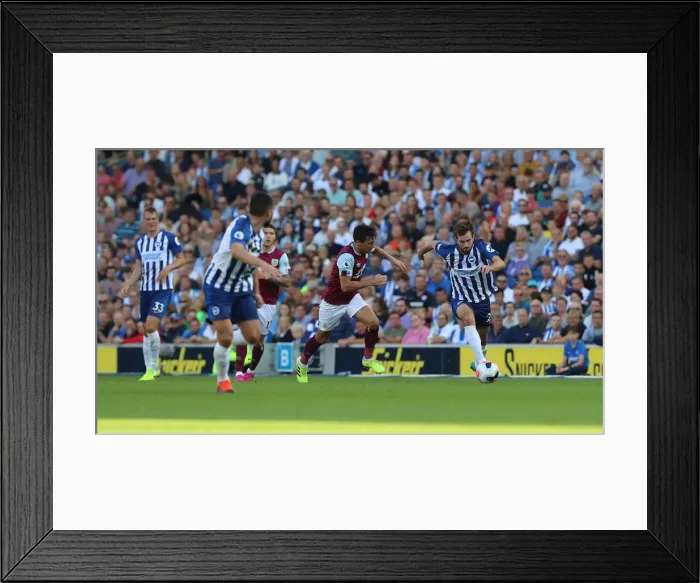 Framed Print : Brighton vs. Burnley: Premier League Showdown at American Express Community Stadium (14SEP19) Framed Print : Brighton vs. Burnley: Premier League Showdown at American Express Community Stadium (14SEP19)