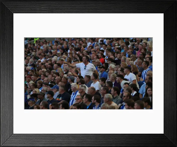 Framed Print : Brighton vs. Burnley: Premier League Showdown at American Express Community Stadium (14SEP19) Framed Print : Brighton vs. Burnley: Premier League Showdown at American Express Community Stadium (14SEP19)