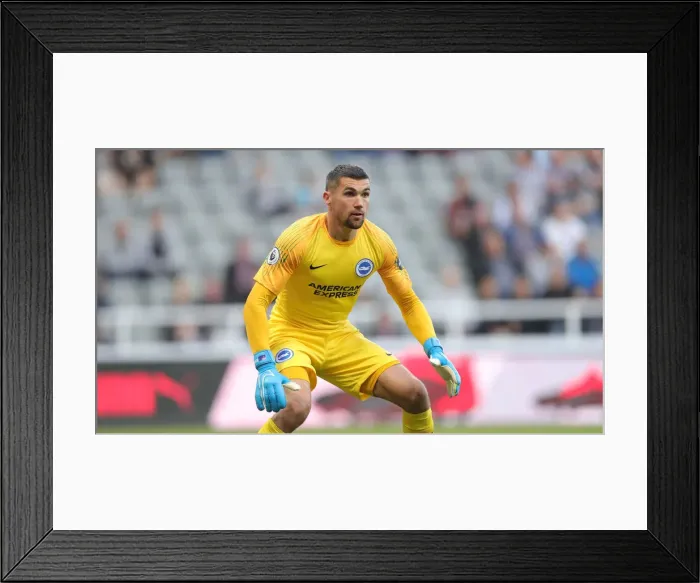 Framed Print : September Showdown: Premier League Clash Between Newcastle United and Brighton & Hove Albion (21SEP19) Framed Print : September Showdown: Premier League Clash Between Newcastle United and Brighton & Hove Albion (21SEP19)