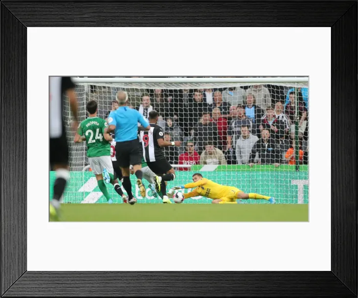 Framed Print : Premier League Showdown: Newcastle United vs. Brighton and Hove Albion at St. James Park (21SEP19) Framed Print : Premier League Showdown: Newcastle United vs. Brighton and Hove Albion at St. James Park (21SEP19)