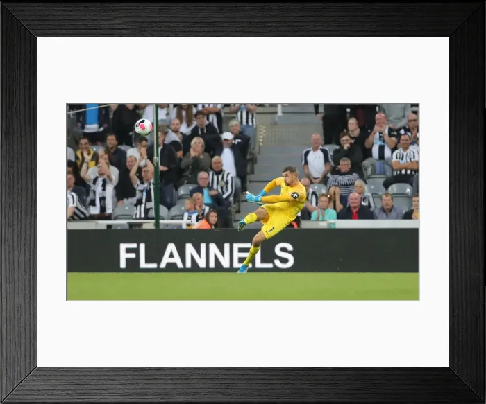 Framed Print : Premier League Showdown: Newcastle United vs. Brighton and Hove Albion at St. James Park (21SEP19) Framed Print : Premier League Showdown: Newcastle United vs. Brighton and Hove Albion at St. James Park (21SEP19)