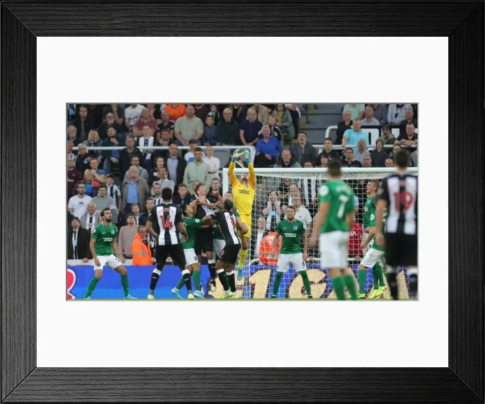 Framed Print : Premier League Showdown: Newcastle United vs. Brighton and Hove Albion at St. James Park (21SEP19) Framed Print : Premier League Showdown: Newcastle United vs. Brighton and Hove Albion at St. James Park (21SEP19)